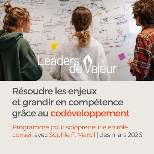 Groupe de CODEV solopreneurs 2026